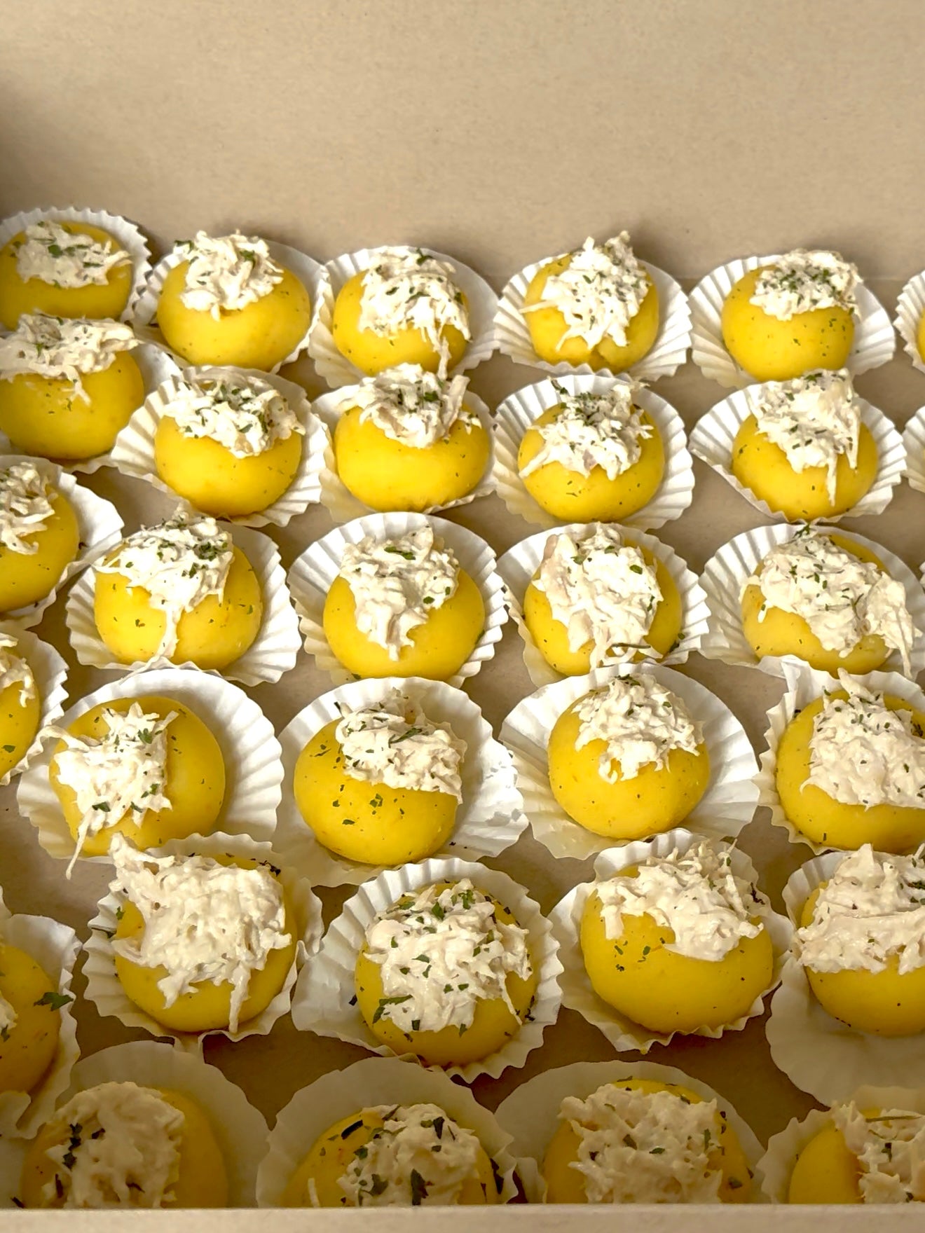 Bolitas de causa